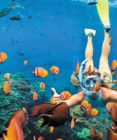 Schwimmerin beim Schnorcheln zwischen bunten Fischen und Korallen vor Hurghada
