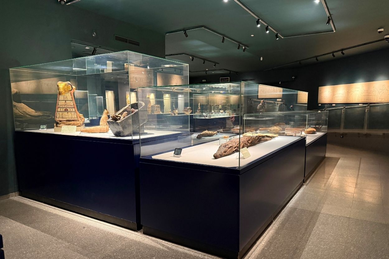 Mummie e reperti dell'Antico Egitto esposti nel Museo della Mummificazione di Luxor.