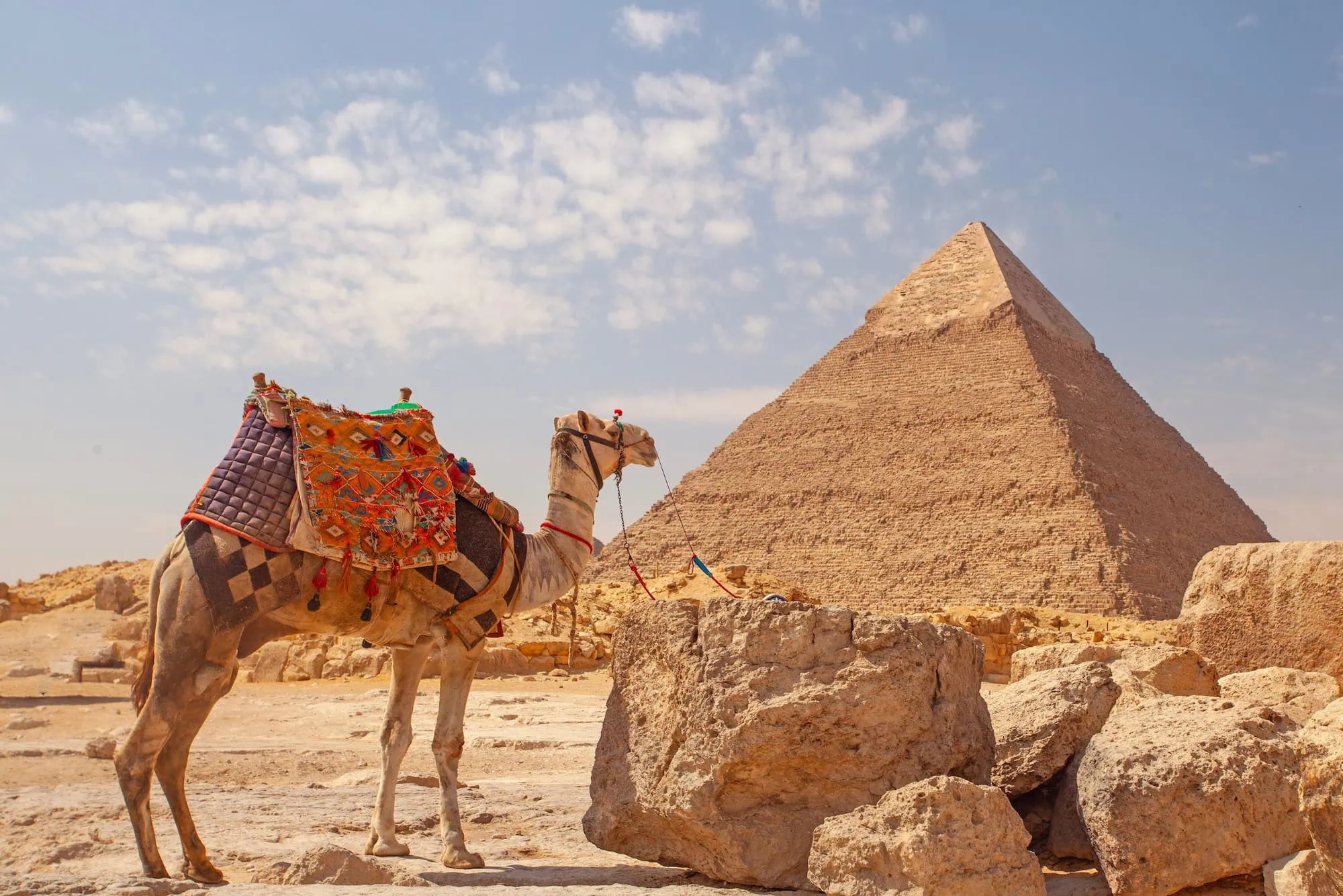 Camel Ride at the Pyramids: Everything You Need to Know Before You Go