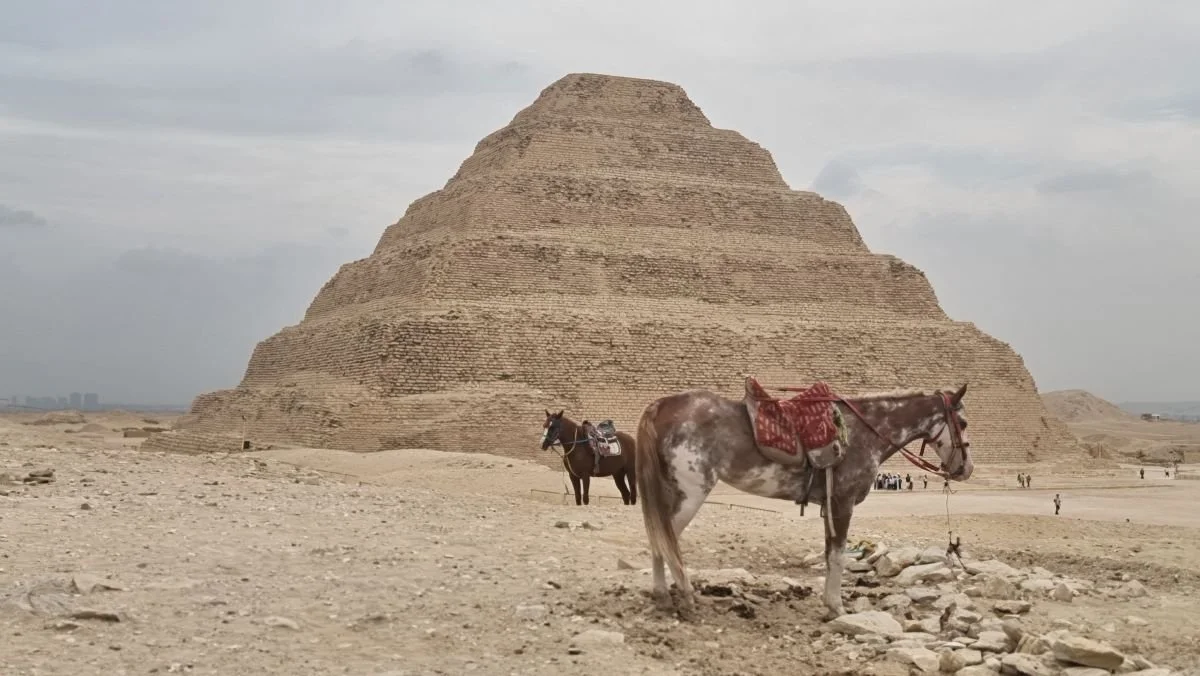 Djosers Stufenpyramide mit Pferden in der Nekropole von Sakkara, Ägypten