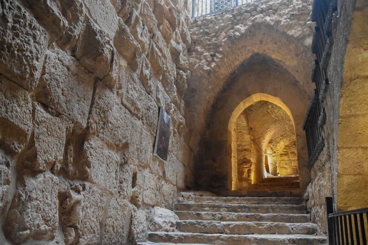 Majestic Ajloun Castle rising above the hills